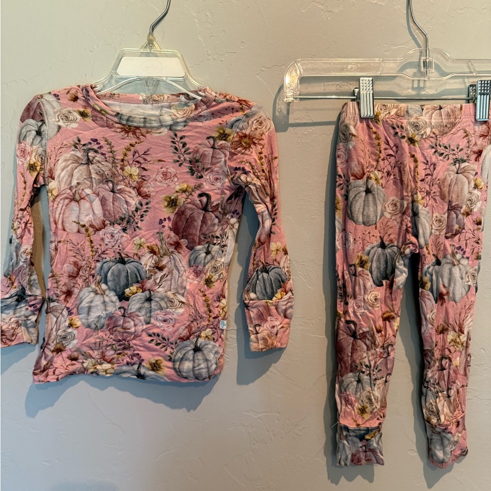 Posh Peanut Marley 2T pajama set, GUC